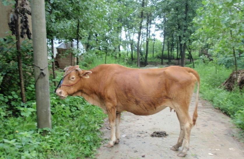 宁波最新求一个套医保卡的黄牛是真的吗方法分析(最方便真实的宁波求一个套医保卡的黄牛是真的吗还是假的方法)